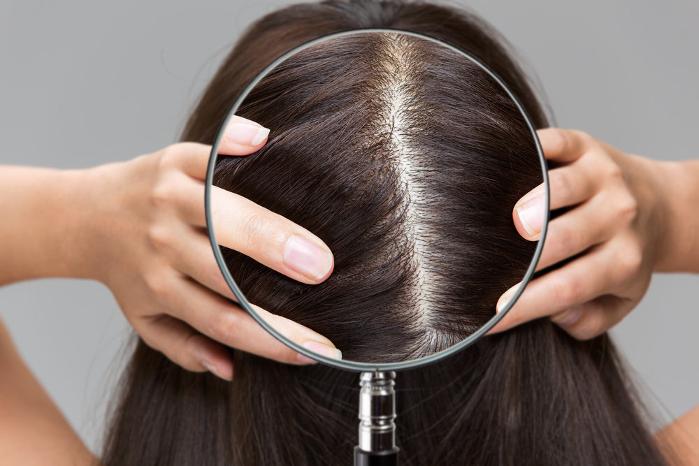 A Guide To Scalp Care Featured Image