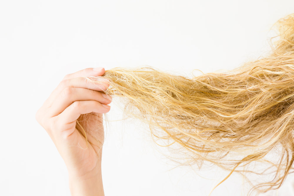 A Trichologists Top Tips To Fight Frizzy Hair - Featured Image